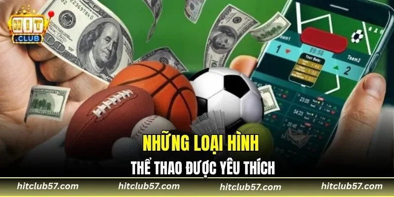 Những loại hình thể thao được yêu thích
