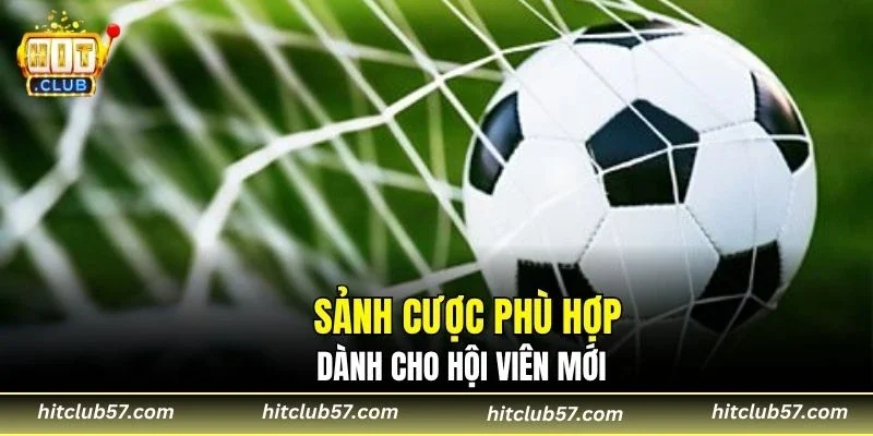 Sảnh cược phù hợp dành cho hội viên mới
