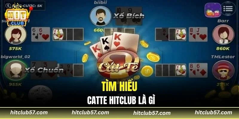 Tìm hiểu Catte HitClub là gì